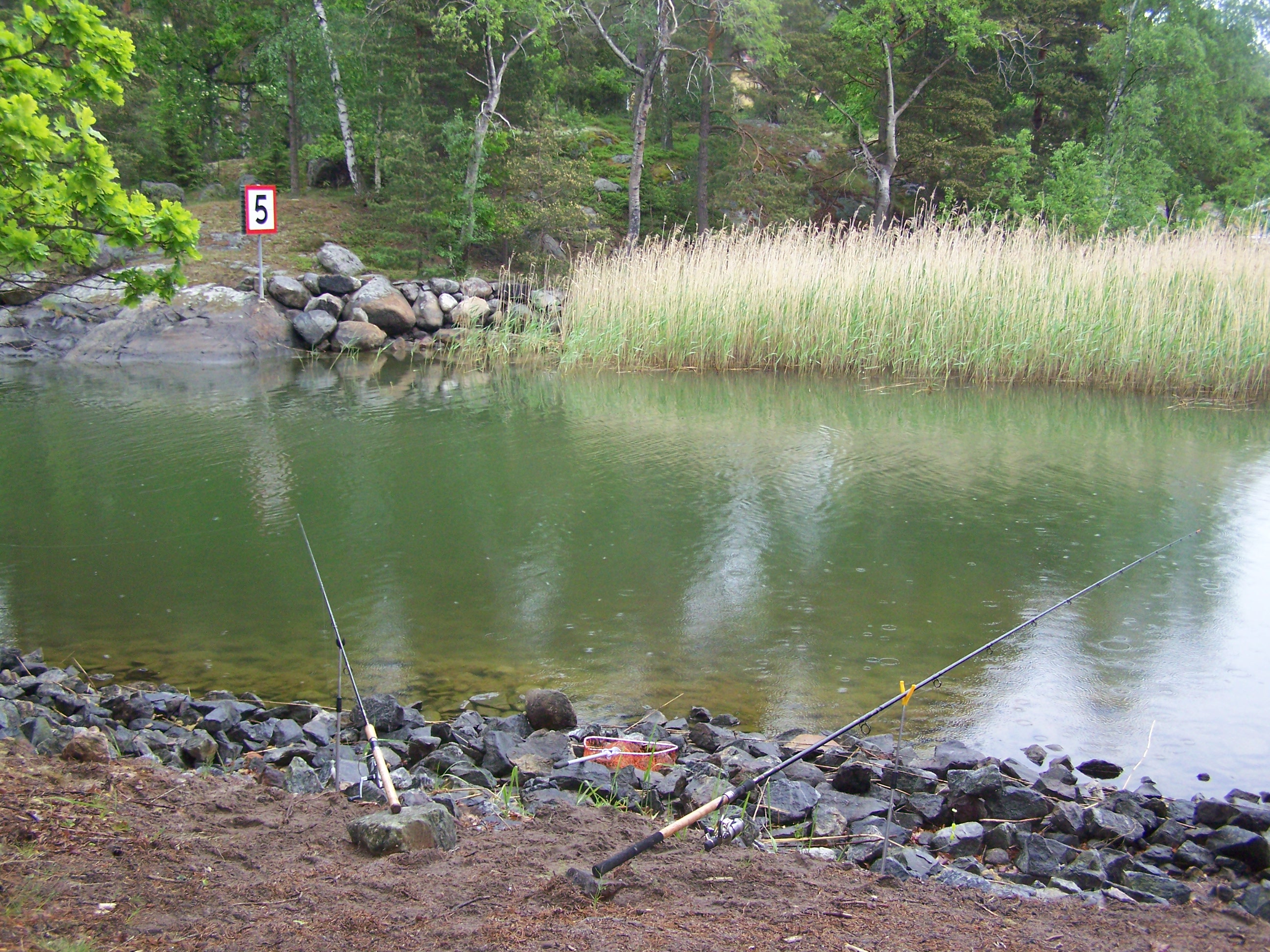 ryby-svedsko-cerven-09-130